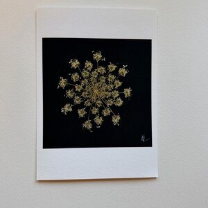 Elegant Black and Gold Floral Fine Art Print